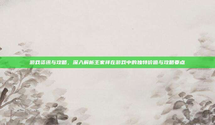 游戏资讯与攻略,深入解析王家祥在游戏中的独特价值与攻略要点