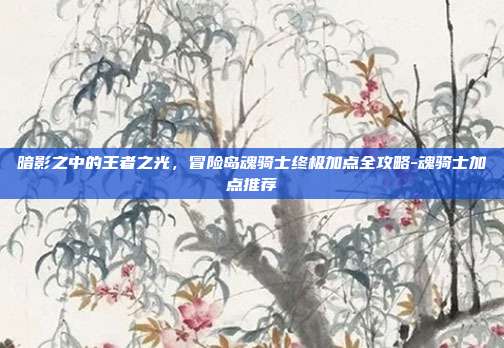 暗影之中的王者之光,冒险岛魂骑士终极加点全攻略-魂骑士加点推荐
