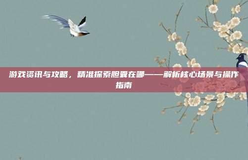 游戏资讯与攻略，精准探索胆囊在哪——解析核心场景与操作指南