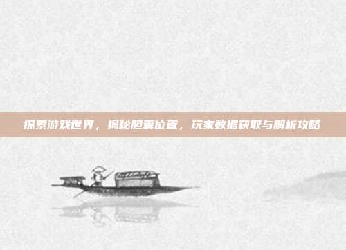 探索游戏世界，揭秘胆囊位置，玩家数据获取与解析攻略
