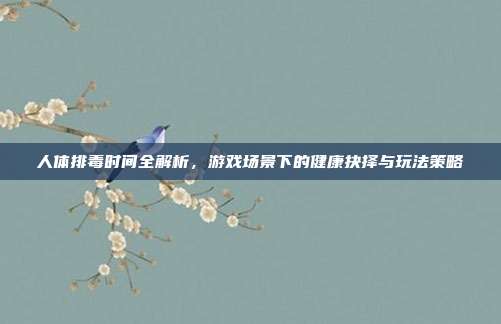 人体排毒时间全解析,游戏场景下的健康抉择与玩法策略