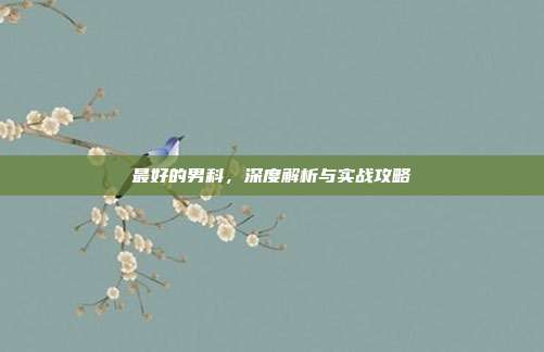 最好的男科，深度解析与实战攻略