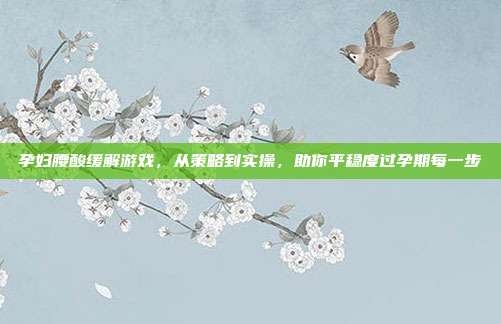 孕妇腰酸缓解游戏,从策略到实操,助你平稳度过孕期每一步