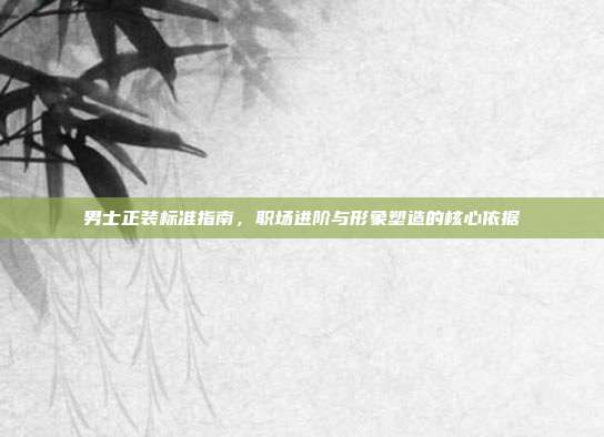 男士正装标准指南，职场进阶与形象塑造的核心依据