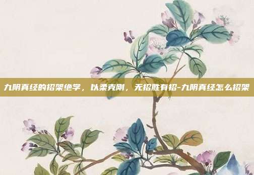 九阴真经的招架绝学,以柔克刚,无招胜有招-九阴真经怎么招架