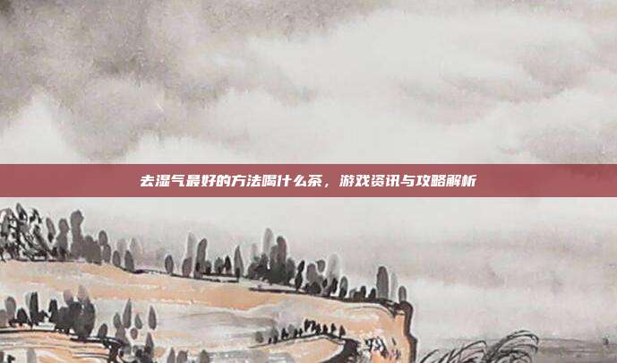 去湿气最好的方法喝什么茶，游戏资讯与攻略解析