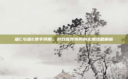 维C与维E携手同服，游戏营养协同的实用攻略解析