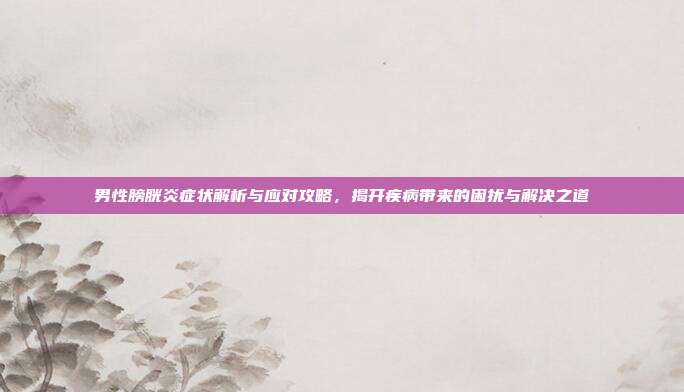 男性膀胱炎症状解析与应对攻略，揭开疾病带来的困扰与解决之道