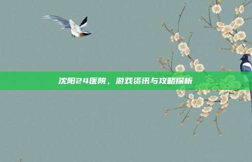 沈阳24医院，游戏资讯与攻略探析