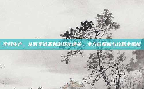 孕妇生产，从医学准备到游戏化通关，全方位解析与攻略全解析