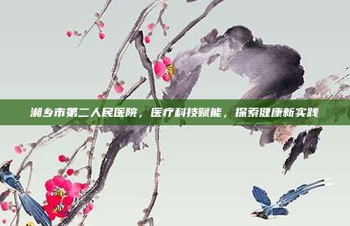 湘乡市第二人民医院，医疗科技赋能，探索健康新实践