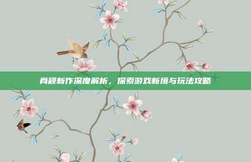 肖颖新作深度解析，探索游戏新境与玩法攻略