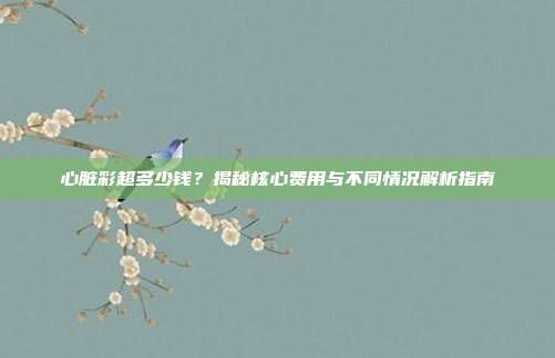 心脏彩超多少钱？揭秘核心费用与不同情况解析指南