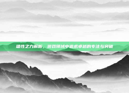 雄性之力解析，游戏领域中追求卓越的专注与突破