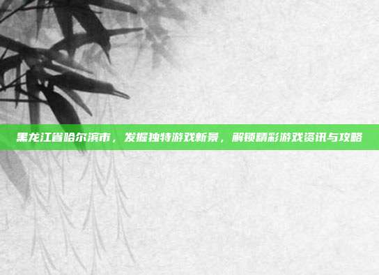 黑龙江省哈尔滨市，发掘独特游戏新景，解锁精彩游戏资讯与攻略
