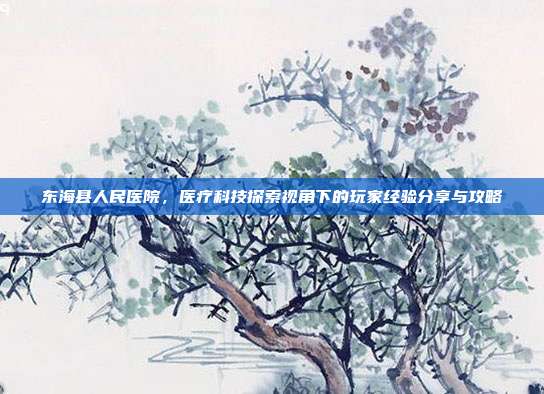 东海县人民医院，医疗科技探索视角下的玩家经验分享与攻略
