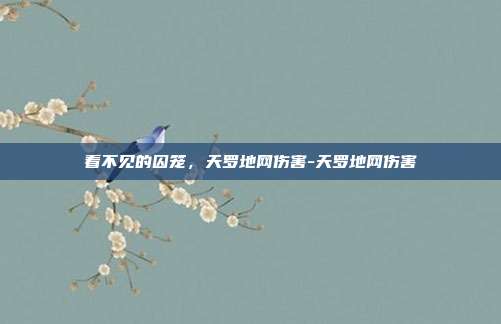 看不见的囚笼，天罗地网伤害-天罗地网伤害