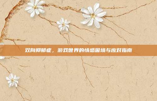 双向抑郁症,游戏世界的情感困境与应对指南
