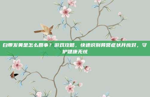 白带发黄是怎么回事？游戏攻略，快速识别异常症状并应对，守护健康无忧