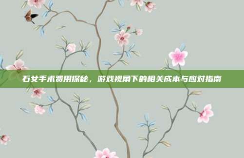 石女手术费用探秘，游戏视角下的相关成本与应对指南