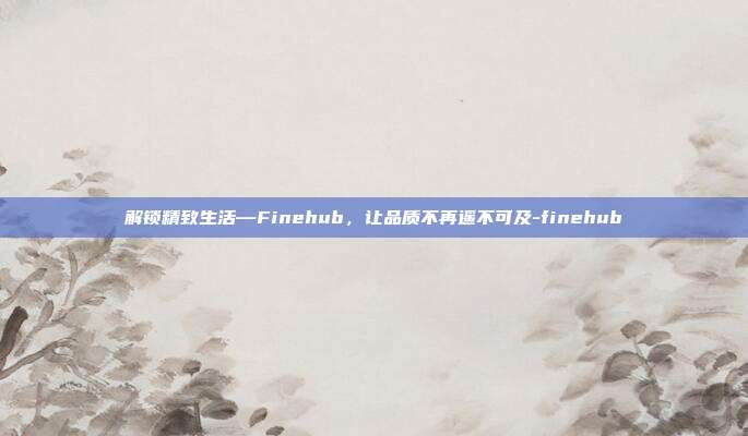 解锁精致生活—Finehub，让品质不再遥不可及-finehub