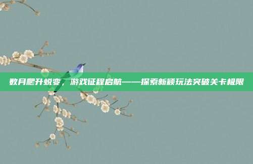 数月爬升蜕变，游戏征程启航——探索新颖玩法突破关卡极限