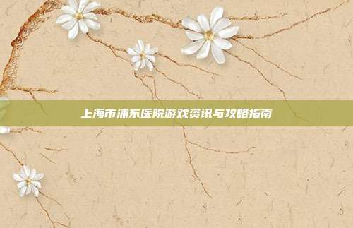 上海市浦东医院游戏资讯与攻略指南