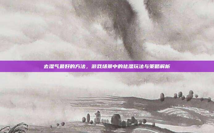 去湿气最好的方法，游戏场景中的祛湿玩法与策略解析