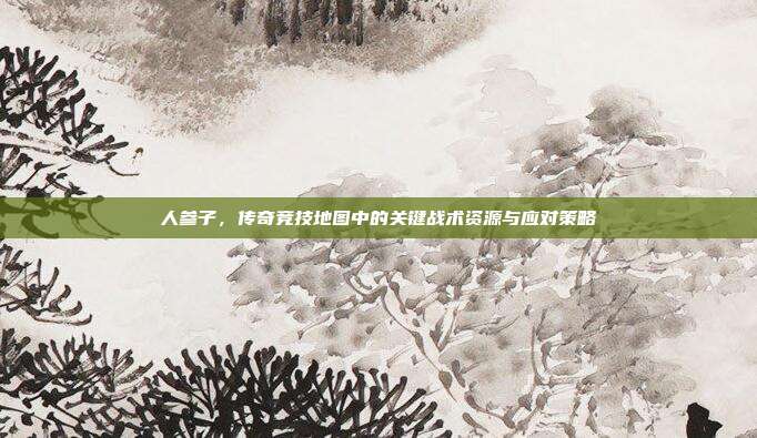 人参子，传奇竞技地图中的关键战术资源与应对策略