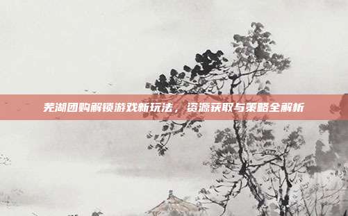 芜湖团购解锁游戏新玩法，资源获取与策略全解析