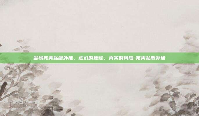 警惕完美私服外挂，虚幻的捷径，真实的风险-完美私服外挂