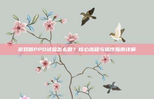 游戏版PPD试验怎么做？核心流程与操作指南详解