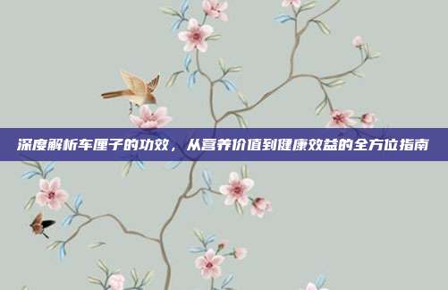 深度解析车厘子的功效，从营养价值到健康效益的全方位指南