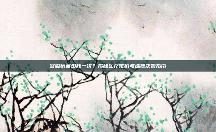 宫腔镜多少钱一次？揭秘医疗花销与选技决策指南