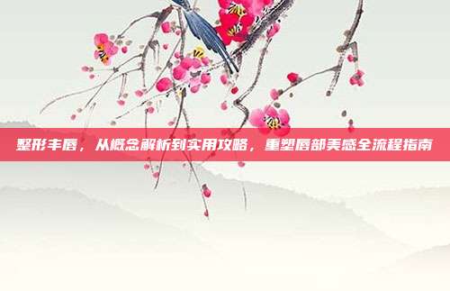 整形丰唇，从概念解析到实用攻略，重塑唇部美感全流程指南