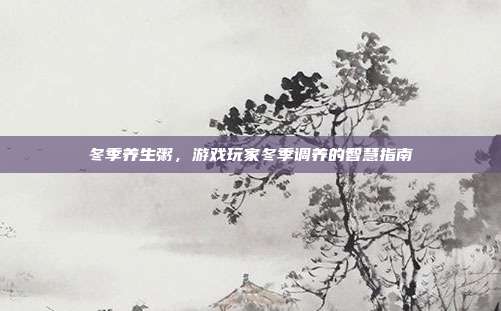 冬季养生粥，游戏玩家冬季调养的智慧指南