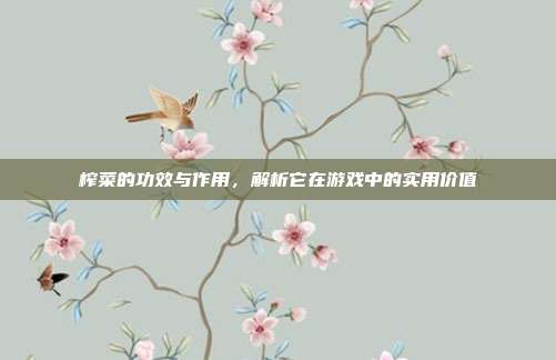 榨菜的功效与作用，解析它在游戏中的实用价值
