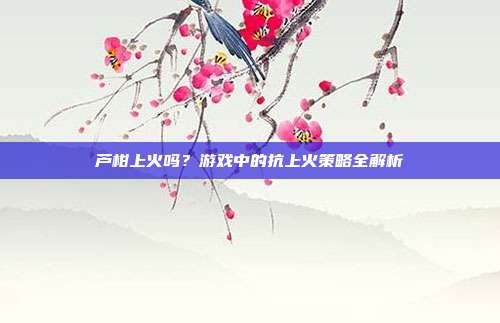 芦柑上火吗？游戏中的抗上火策略全解析