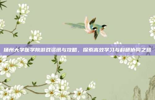 扬州大学医学院游戏资讯与攻略，探索高效学习与科研协同之路