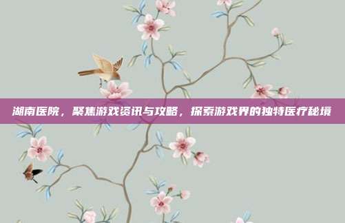 湖南医院,聚焦游戏资讯与攻略,探索游戏界的独特医疗秘境