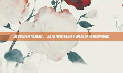 游戏资讯与攻略，武汉洪水环境下的应急与应对策略