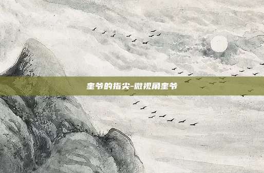 奎爷的指尖-微视角奎爷