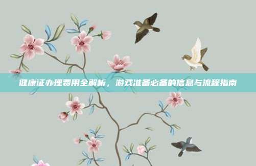 健康证办理费用全解析，游戏准备必备的信息与流程指南