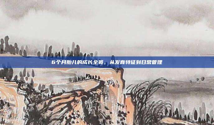6个月胎儿的成长全览，从发育特征到日常管理