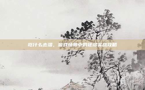 吃什么去湿，游戏场景中的祛湿实战攻略