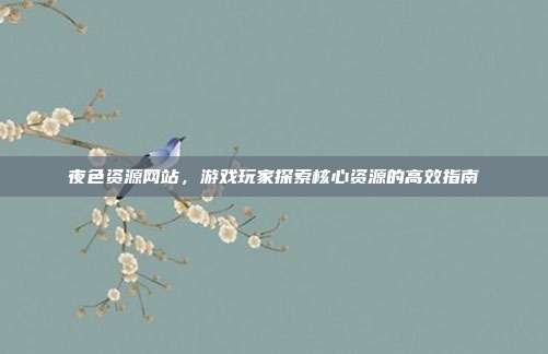 夜色资源网站，游戏玩家探索核心资源的高效指南