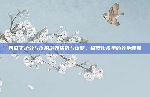 西瓜子功效与作用游戏资讯与攻略，探索饮食里的养生智慧