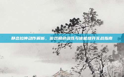 静态拉伸动作解析，游戏角色训练与体能提升实战指南