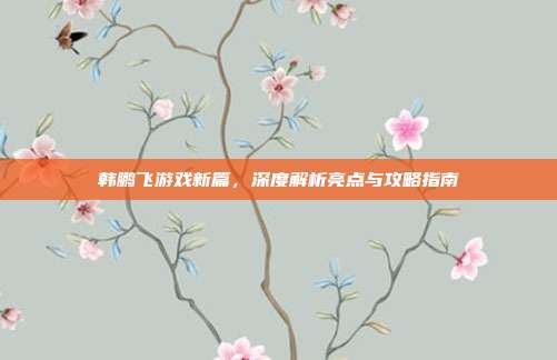 韩鹏飞游戏新篇，深度解析亮点与攻略指南