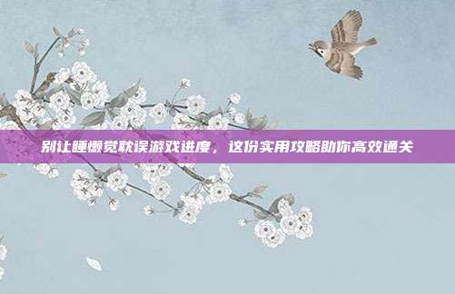 别让睡懒觉耽误游戏进度，这份实用攻略助你高效通关